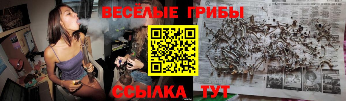 Галлюциногенные грибы ЛСД  Псилоцибиновые грибы мицелий  Выборг  Вход с VPN 